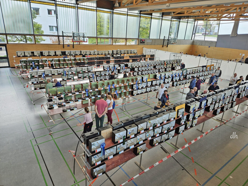 2024-LS-Blick in die Ausstellung